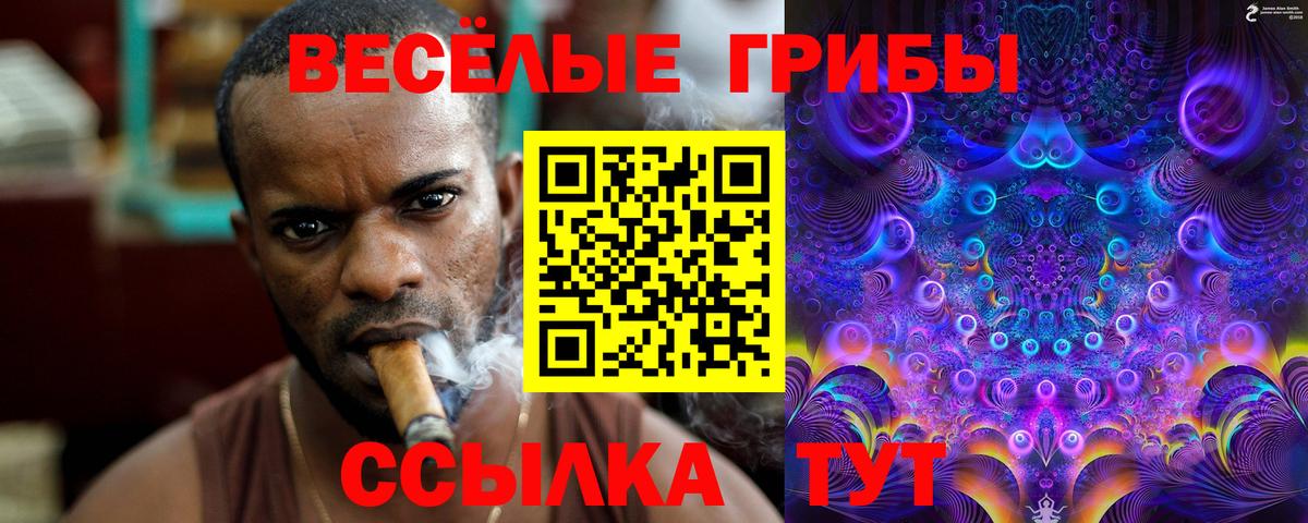 закладка  Псилоцибиновые грибы Magic Shrooms  Вход с VPN  Кумертау 