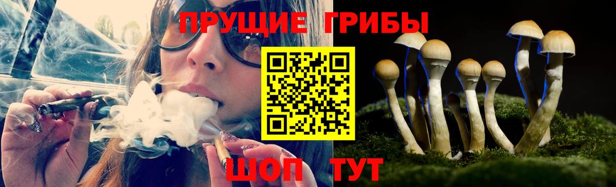 Галлюциногенные грибы Magic Shrooms Кумертау